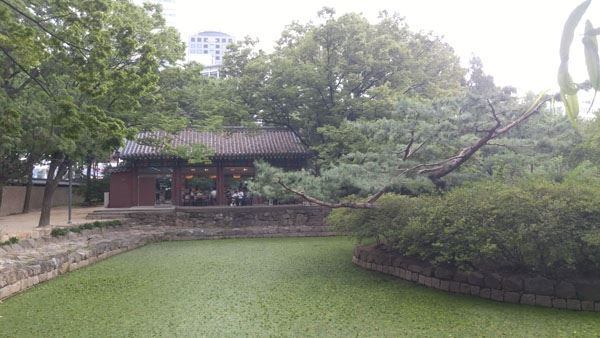 사진=덕수궁 내 카페 '돌담길' / 정명섭 작가 제공